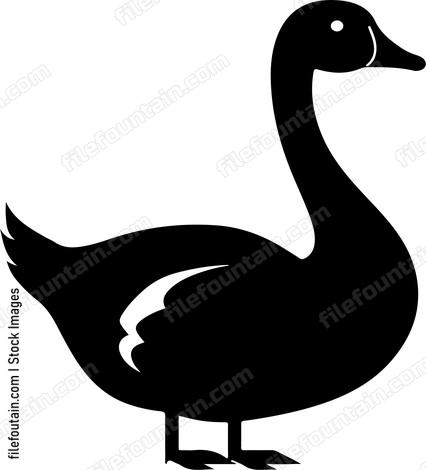 Canadian Goose