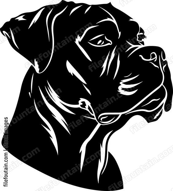Cane Corso