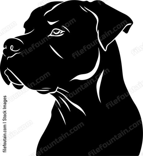 Cane Corso