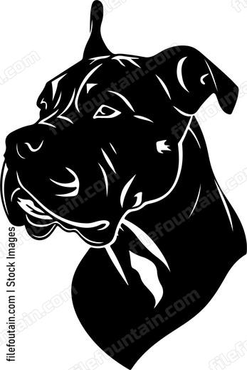 Cane Corso