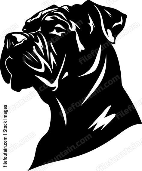 Cane Corso