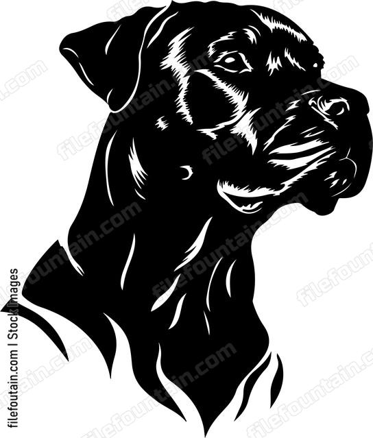 Cane Corso