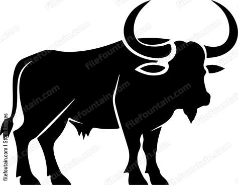 Cape Buffalo
