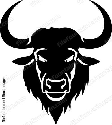 Cape Buffalo