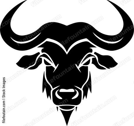 Cape Buffalo