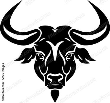 Cape Buffalo