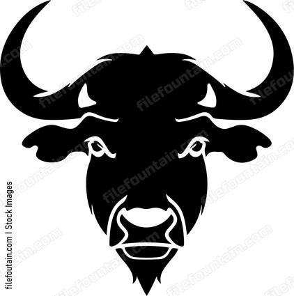 Cape Buffalo Head
