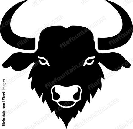 Cape Buffalo Head