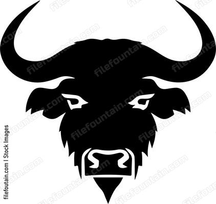 Cape Buffalo Head