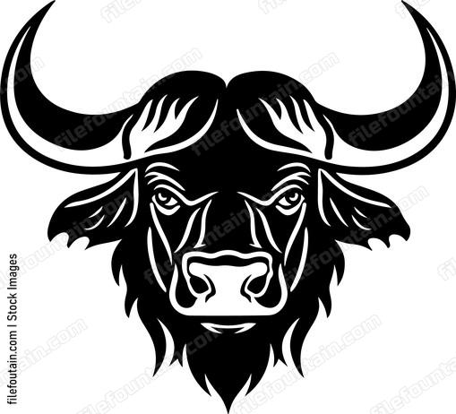 Cape Buffalo Head