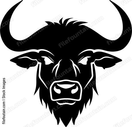Cape Buffalo Head