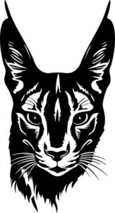 Caracal
