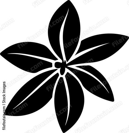 Carambola Star Fruit