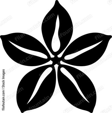 Carambola Star Fruit