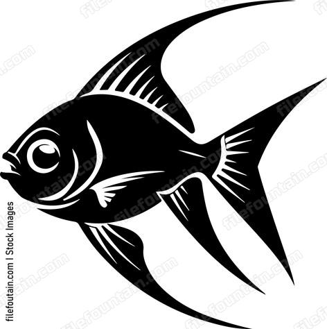 Cardinalfish