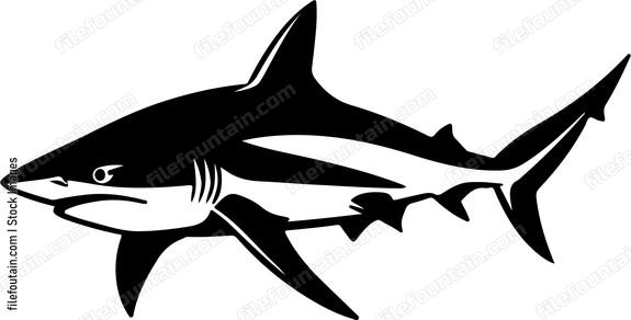 Caribbean Reef Shark