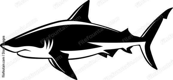 Caribbean Reef Shark