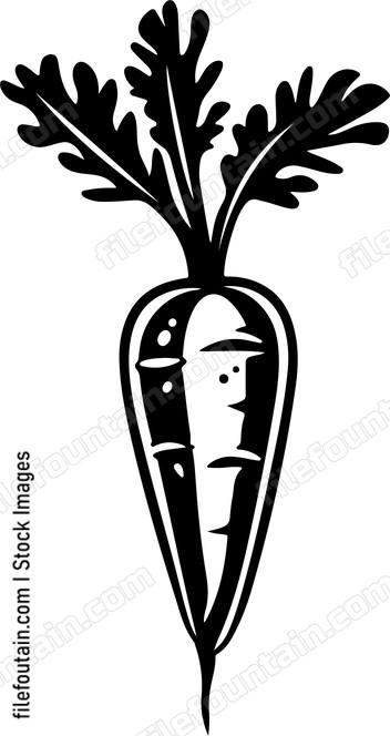 Carrot