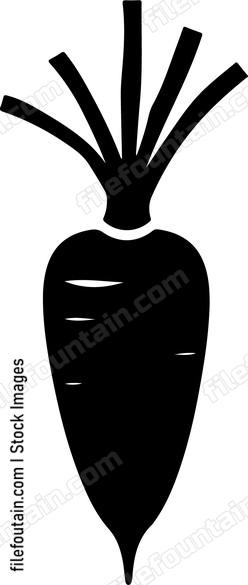 Carrot Design