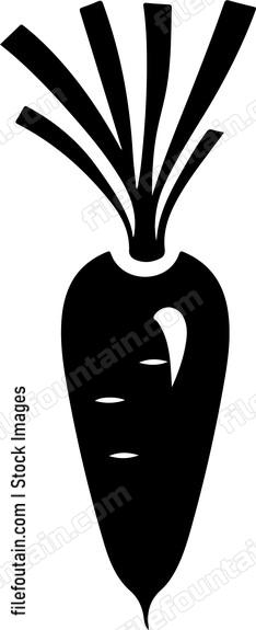 Carrot Design