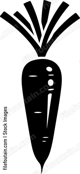 Carrot Design