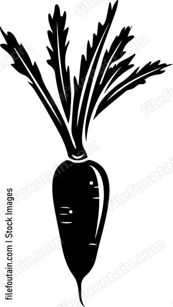 Carrots