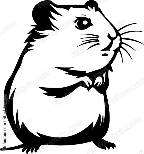 Cartoon Hamster