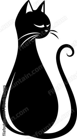 Cat Looking