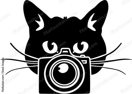 Cat Photographer