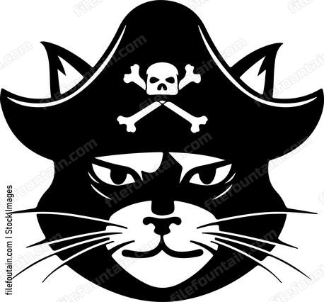 Cat Pirate