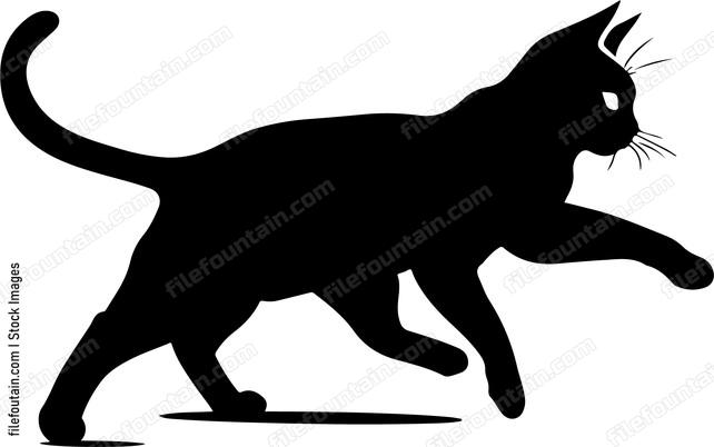 Cat Running