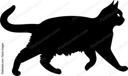 Cat Running