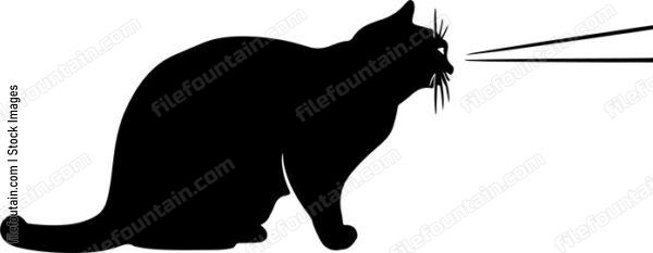 Cat Shooting Lazer Beam
