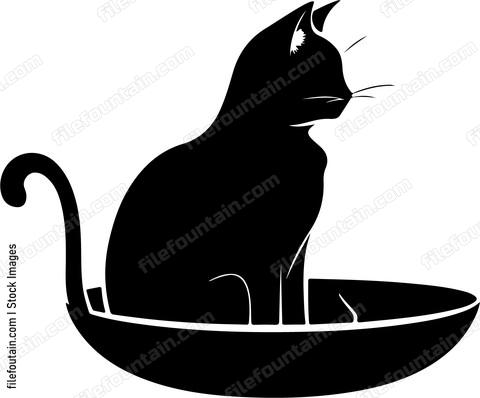 cat sitting in bowl