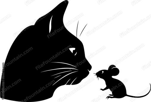 Cat Vs Mouse