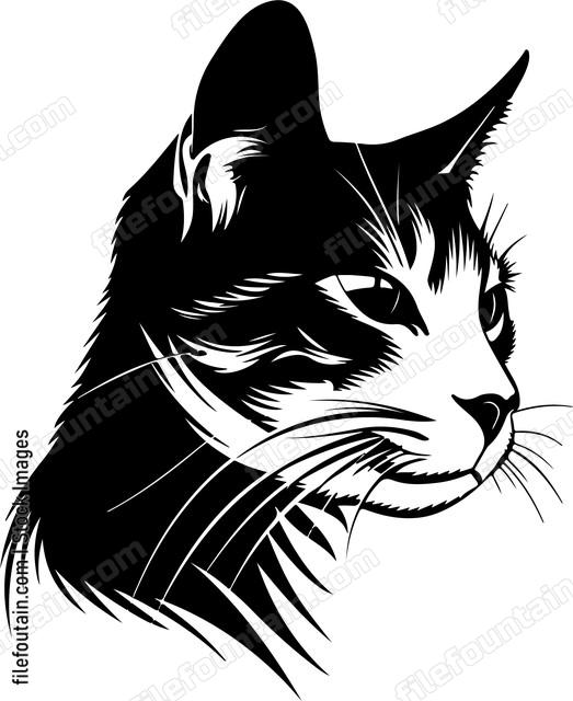 Cat With Wiskers