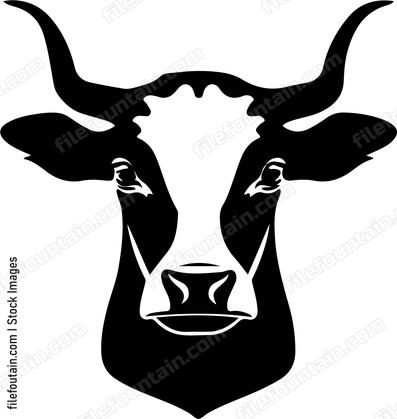 Cattle