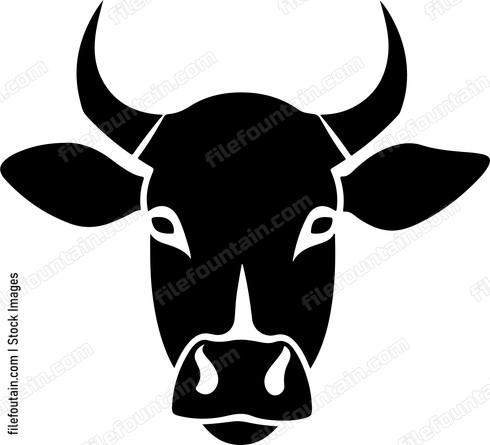 Cattle