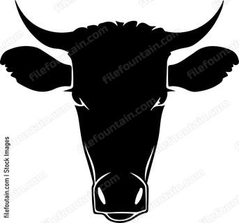 Cattle