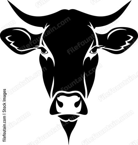 Cattle