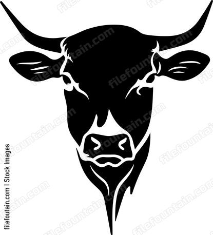 Cattle