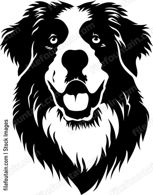 Caucasian Shepherd Dog