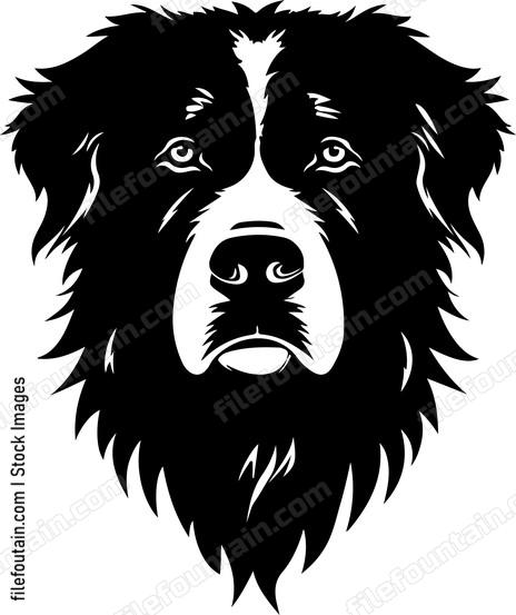 Caucasian Shepherd Dog