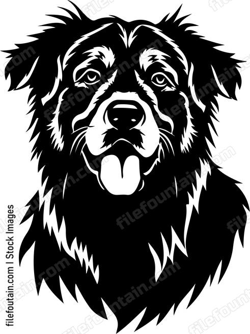 Caucasian Shepherd Dog
