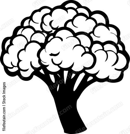 Cauliflower