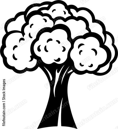 Cauliflower