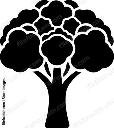 Cauliflower