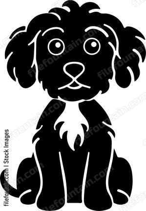 Cavapoo
