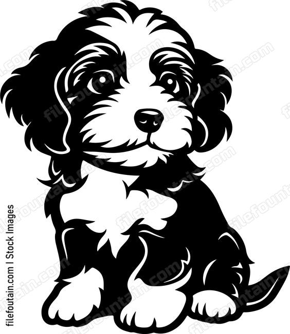 Cavapoo Puppy