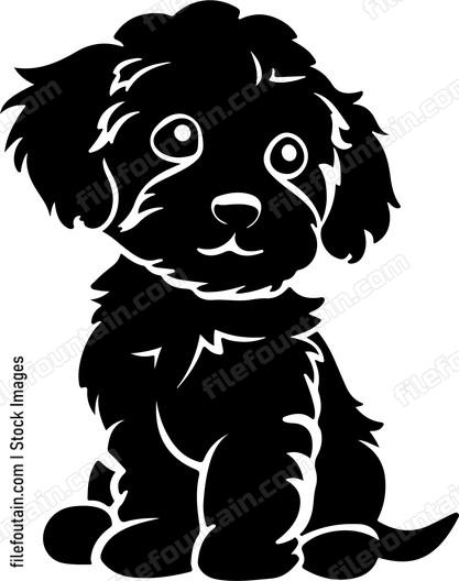 Cavapoo Puppy